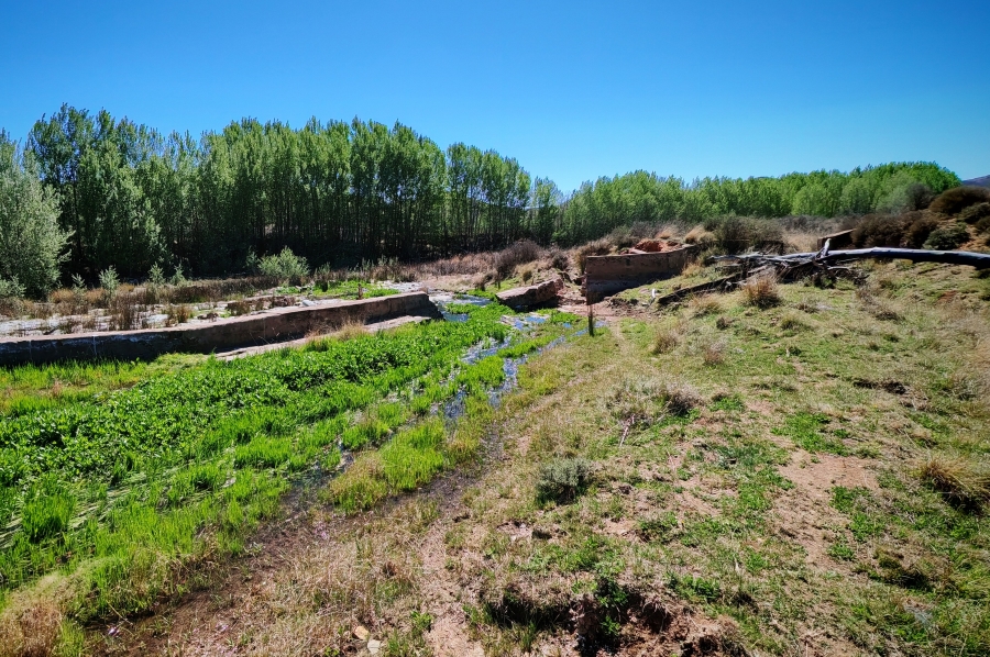 4 Bedroom Property for Sale in Middelburg Rural Eastern Cape